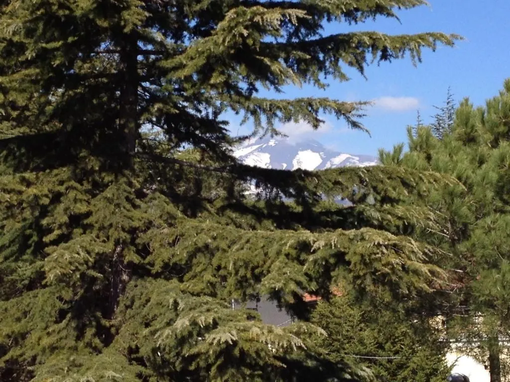 Hotel Ai Pini Nicolosi Italy